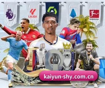 开云 APP（kaiyun）